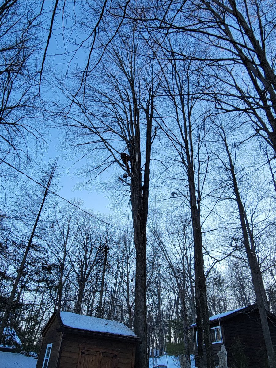 sellwithcorrie's tweet photo. What a great way to spend a day off from Real Estate, working side by side with this amazing man and awesome arborist on beautiful Buckhorn Lake..
#corriesells #listmoore #trentlakeswaterfront #trentlakesrealestate... https://t.co/KttGUFrJHG https://t.co/oPwLcAMWvG