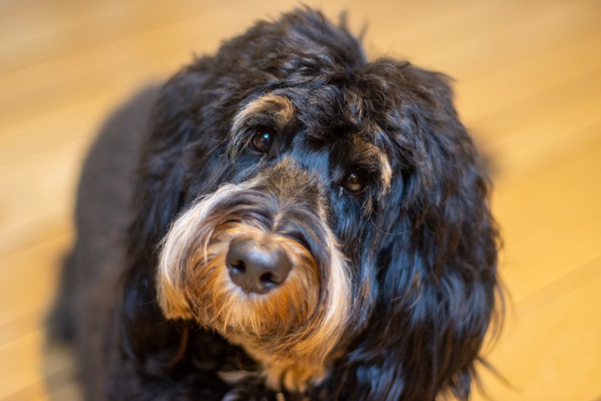 Anne Archer tweet media