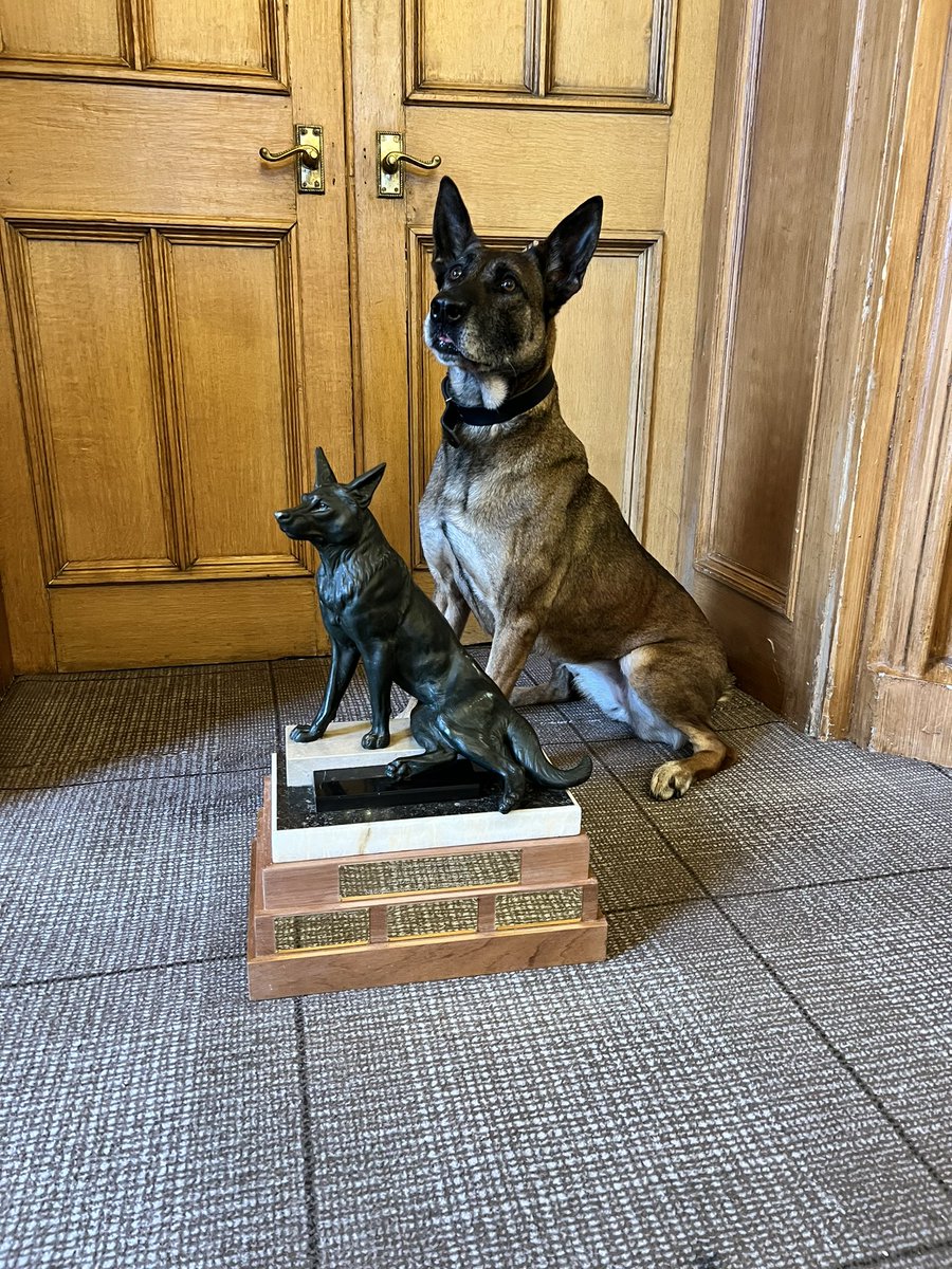 The_NFRSA's tweet image. Couldn’t be prouder to see #PDAmber doing so well in her #RegionalTrials this week. #PDAmber was the inaugural recipient of the #NFRSA Endeavour Trophy @PoliceDogTrials in 2022. If you watch the video, she is the first PD on there. Go Amber! @polscotdogs