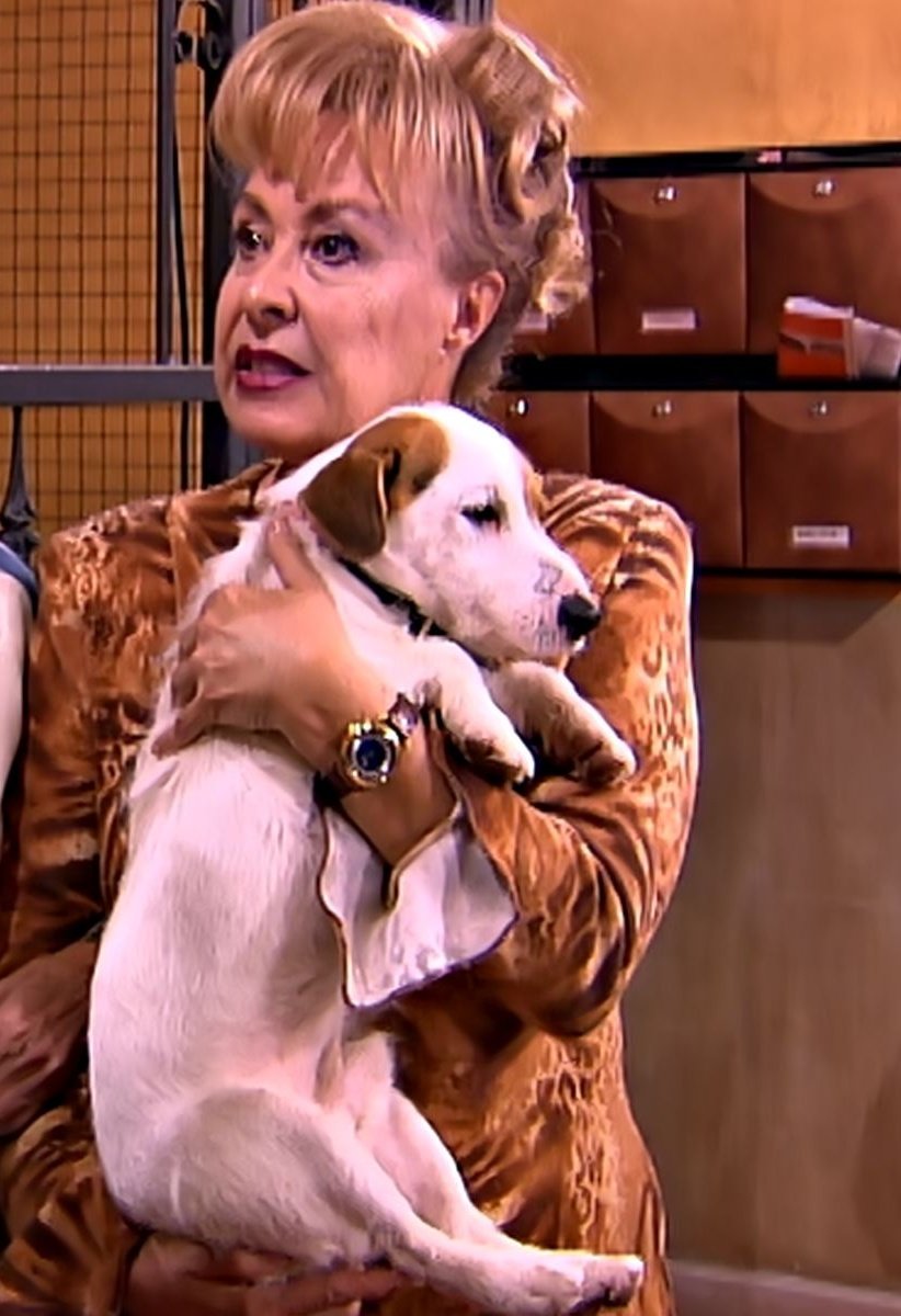 manzanilla tweet media