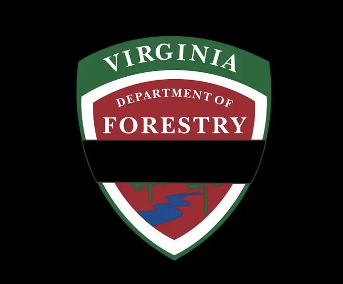 Jeff Stern tweet media