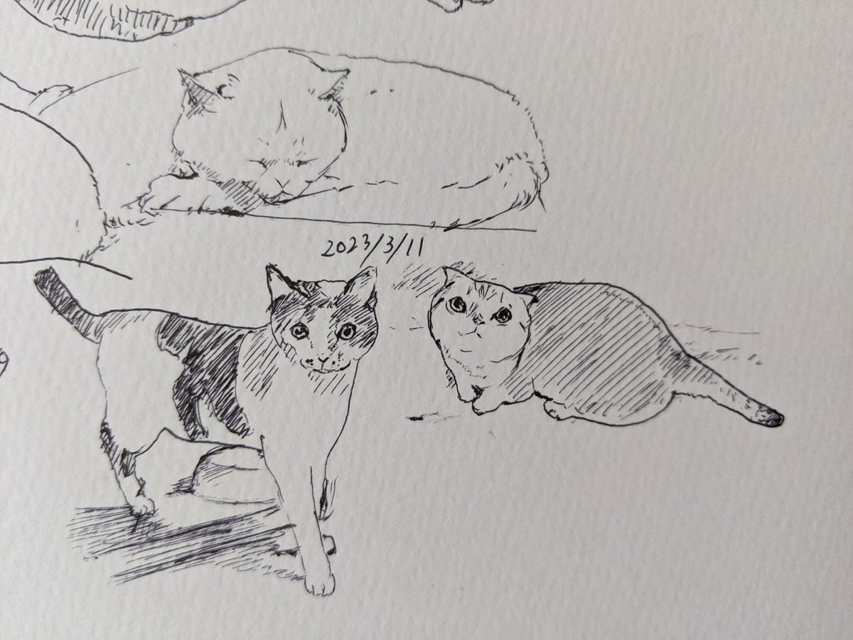 上を向けば満天の星 歩み続けよう カキカキ。 