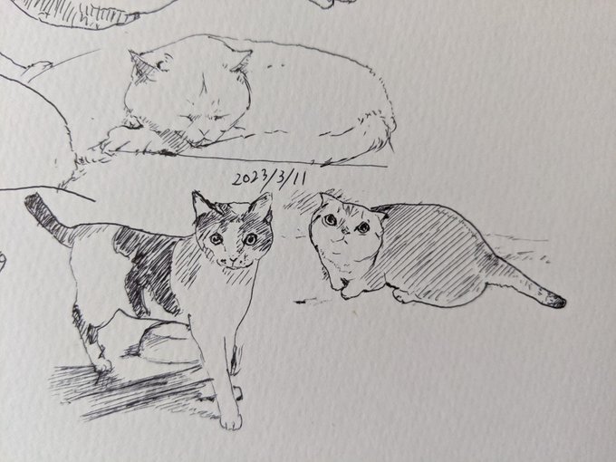 上を向けば満天の星 歩み続けよう カキカキ。 