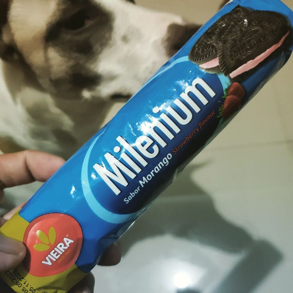 MykingAds's tweet image. #tryingout #milenium by #vieira instagr.am/p/CpoDgAwBhLL/