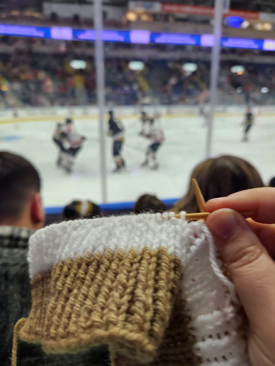 ModernNanNL's tweet photo. Knitting in on-brand colours at the @NLGrowlers game tonight https://t.co/HKbTirG2KU