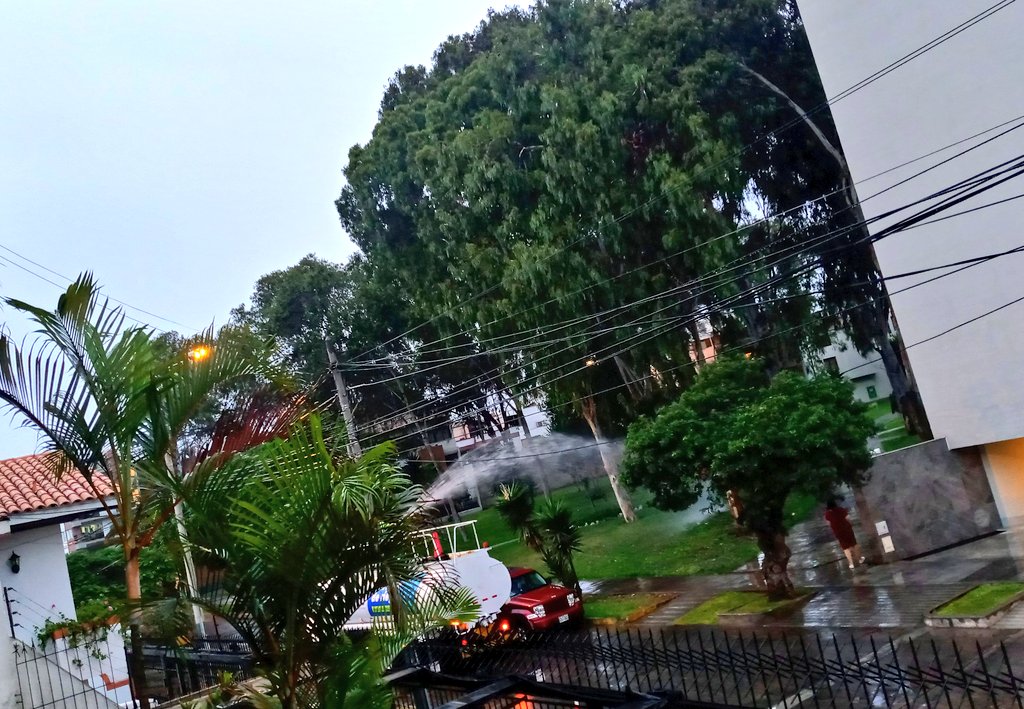 En #Surco, después de dos horas de lluvia sostenida, un camión cisterna municipal riega con fervor y energía los parques.