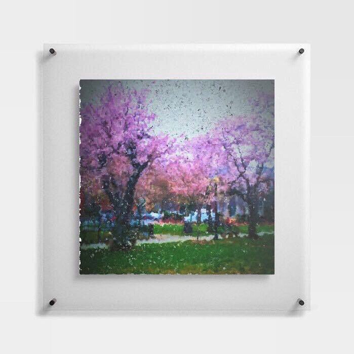 pulaskishepherd's tweet photo. 💫 Save up to 30% on Wall Art in the PULASKI SHEPHERD CLOTHING & SUPPLY Co.’s Society6 Storefront!
“Memory of Cherry Blossoms at Stanton Park” Floating Acrylic Print
#PulaskiShepherdCo
#pscsco
#MemoryofCherryBlossomsatStantonPark
#FloatingAcrylicPrint
https://t.co/dN0BhhyOTA https://t.co/T8O79QOtqH