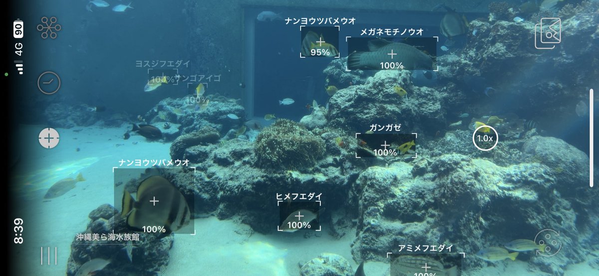 _aoebi's tweet photo. すごい⸜(*˙꒳˙*)⸝ #linnelens https://t.co/CTa1zVdxhr