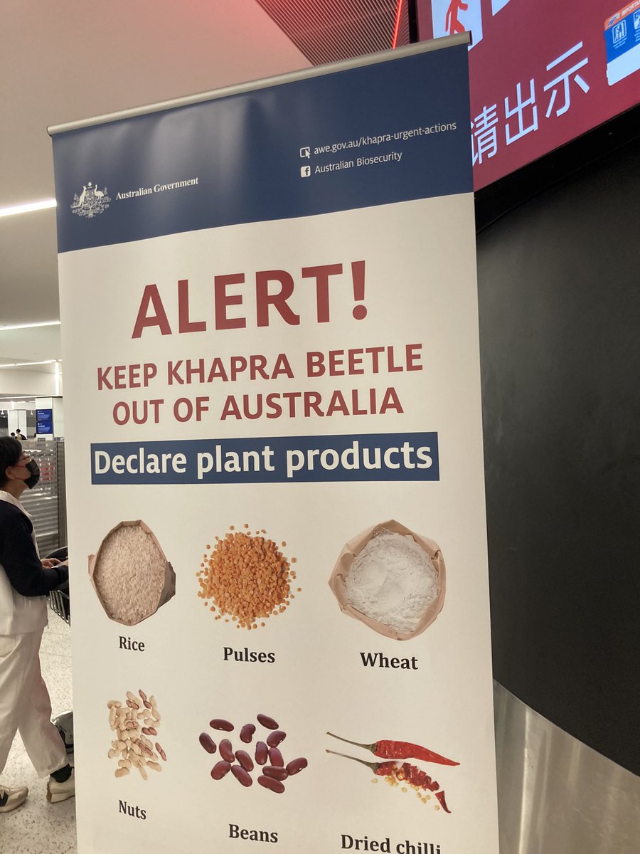 Zach Whale (@zachwhale) on Twitter photo Just landed from an amazing trip to Vietnam discussion all things Australian grains and great to see the strong messaging at the airport about our number one plant pest (as well as thing like FMD). Great to have such a strong biosecurity system <a href="/GrainGrowersLtd/">GrainGrowers</a> <a href="/DAFFgov/">Department of Agriculture, Fisheries and Forestry</a> Just landed from an amazing trip to Vietnam discussion all things Australian grains and great to see the strong messaging at the airport about our number one plant pest (as well as thing like FMD). Great to have such a strong biosecurity system <a href="/GrainGrowersLtd/">GrainGrowers</a> <a href="/DAFFgov/">Department of Agriculture, Fisheries and Forestry</a>