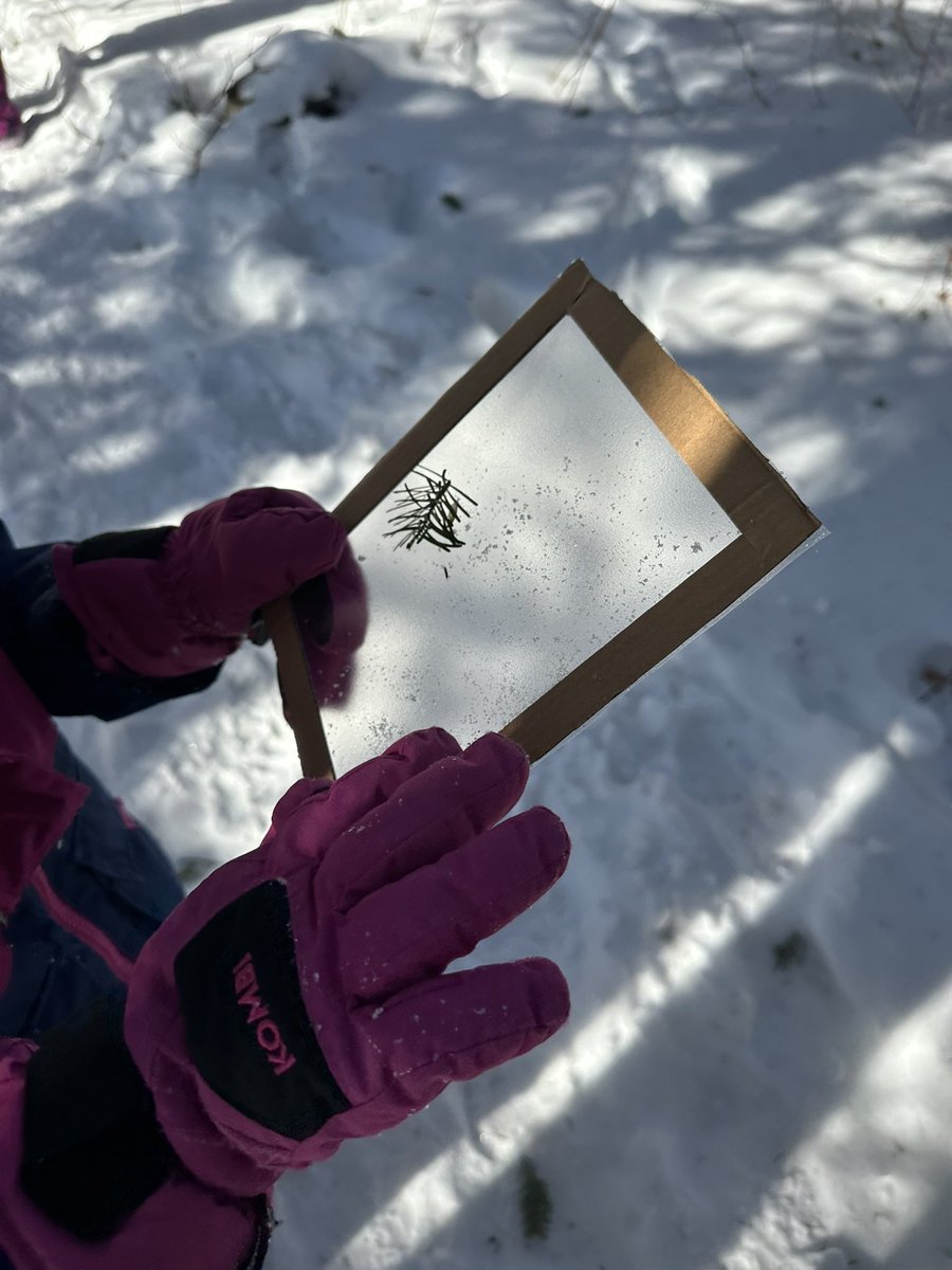 Our final day together ❤️😭 The grade 1’s created beautiful nature frames for our math and seasonal activity lesson! 🌿
