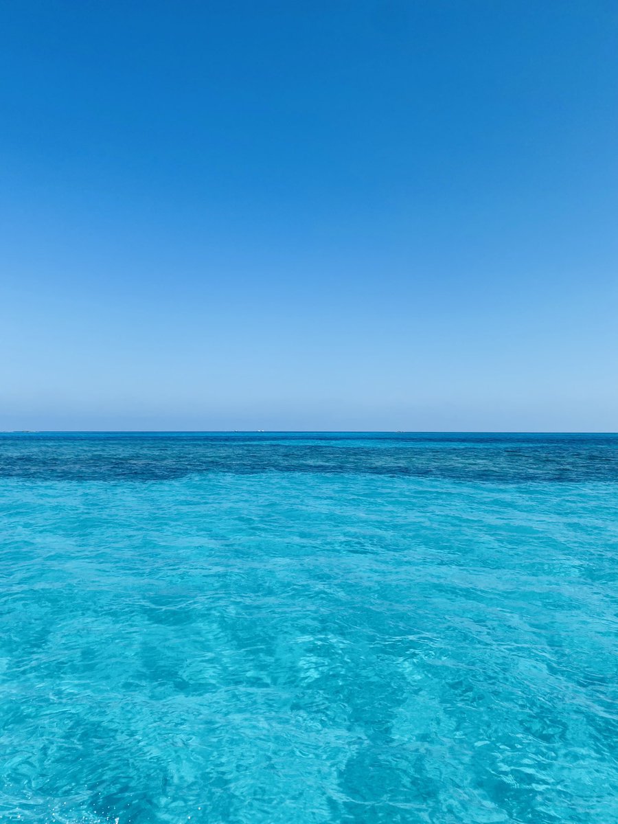Ko_na55's tweet photo. 初めてのカリブ海🏝バハマ🇧🇸✈️
有名な豚のビーチにも行ったけど、船で移動する間も海の綺麗さに透明度の高さに感動しっぱなしでした🥰🥰 https://t.co/6QKkMxdJG4
