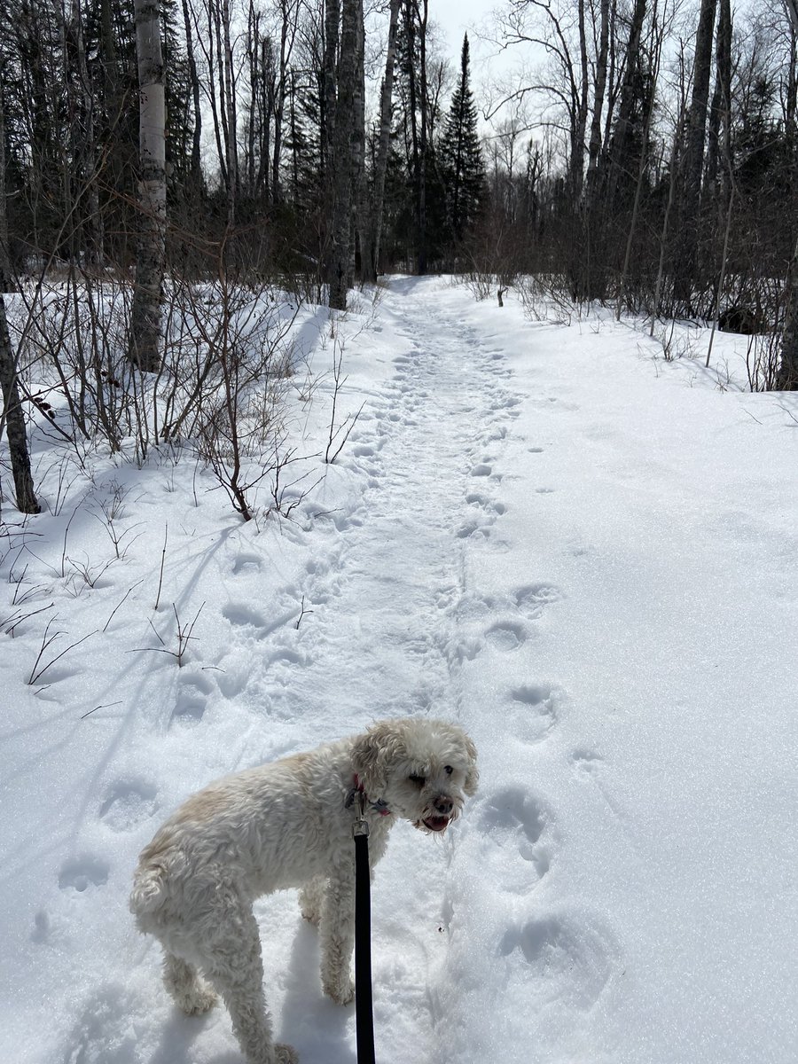 Amy Patton tweet media