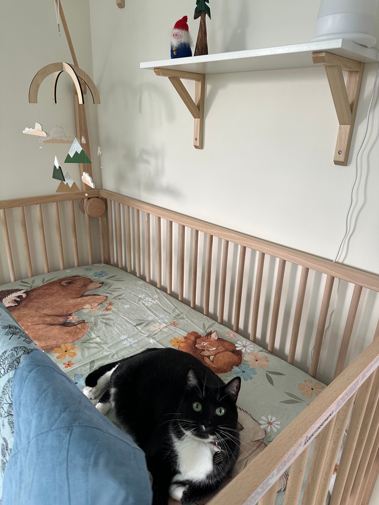 ArciformDesign's tweet image. Just across the landing from the bathroom, a new dormer houses a nursery/bedroom - also downright charming.

Photos by Sarah 

#nursery #dormeraddition #naturallight #northportland #portlandoregon #designbuild #kittyapproved #secretdoor #grandmasmural #delightful #happyfriday