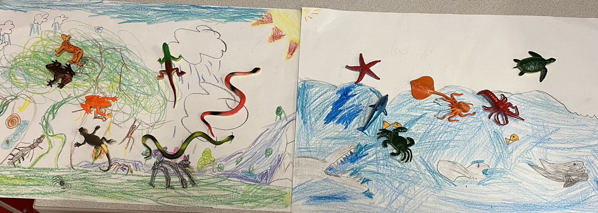 My students collaborated today with 2nd graders to create different animal habitats. Then my students placed animals in the correct habitats.