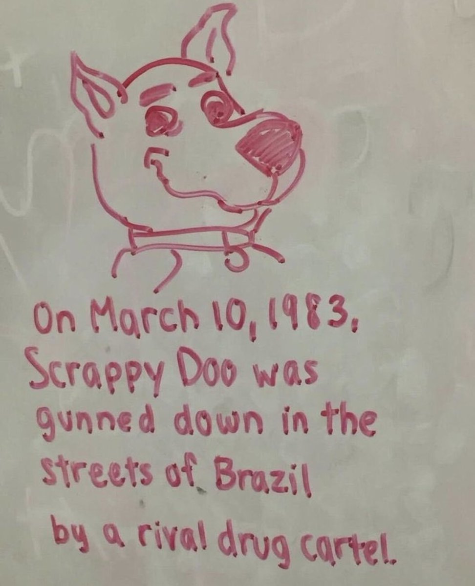 emusworld84's tweet photo. @ShitpostGate Forty years…rip little guy https://t.co/9DzPCVfOjb