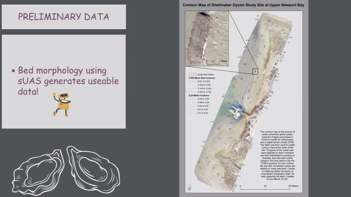 ZacherlLab's tweet photo. @whitcraftmudlab MS student Daniella Gavriel is going to use drones and aerial photogrammetry to understand the role of restored oyster beds in supporting native biodiversity and shorelines resiliency https://t.co/PxfqjmyeuB