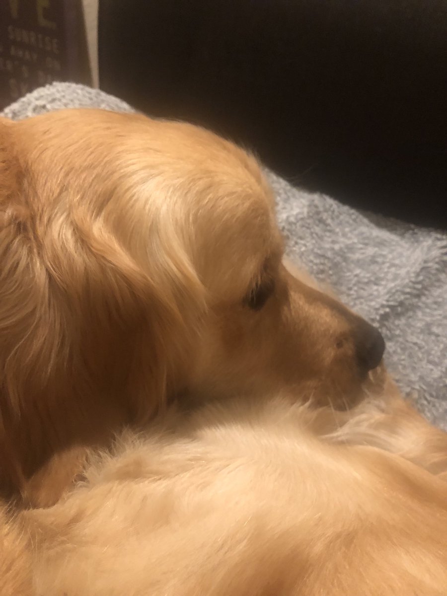 KateKelly20's tweet photo. Contemplating what a mess BBC have created #useyour voice https://t.co/x0TlryNzaX
