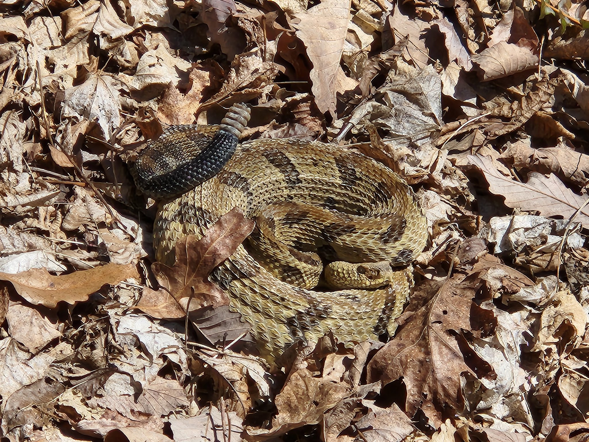 John Kelly on Twitter: 