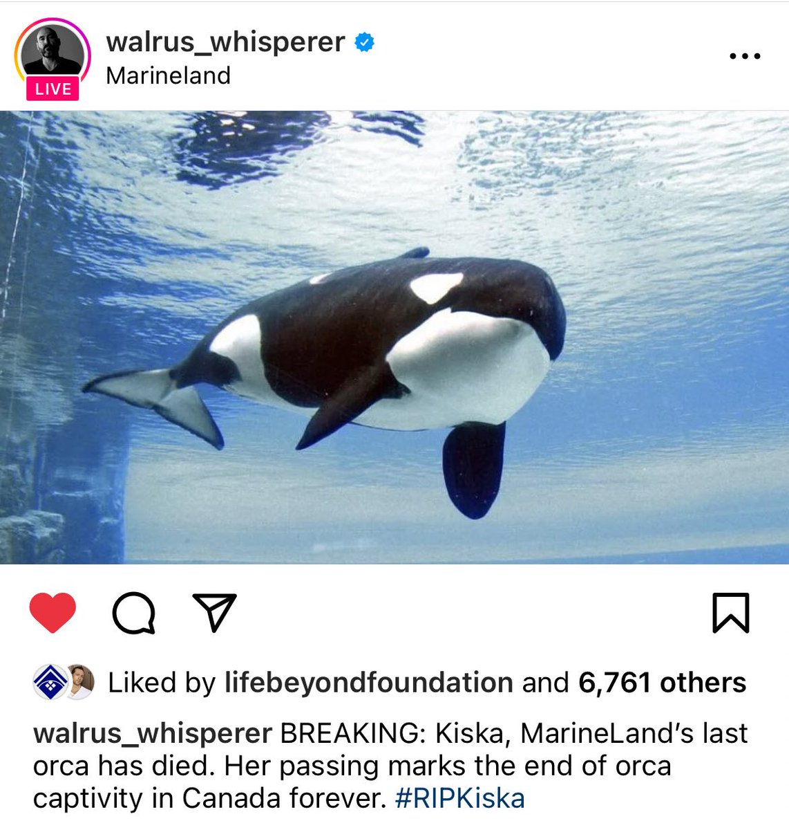 Danielle_Elwood's tweet photo. Well we could have saved her if people weren’t such disgusting selfish beings. We could have but we didn’t. #freethetanks https://t.co/HHG1jZdISZ