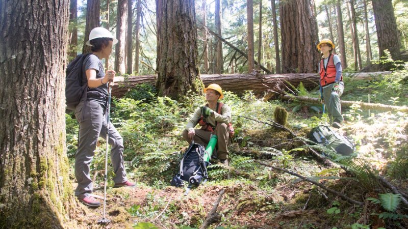 Summer jobs and internship opportunities are posted on our News and Events page, andrewsforest.oregonstate.edu/about/news-eve…