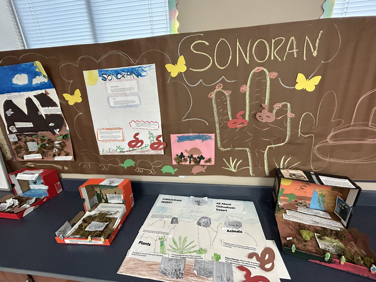 MsOliva2's tweet image. Ecosystem gallery walk was a success! My students couldn’t stop talking about how much they loved this learning experience. They were proud of their hard work! The WHOLE third grade did AMAZING!!!! @AngelaWarner27 @MRobinsonElem #LIONSROARWITHPRIDE #ecosystems #makinglearningfun