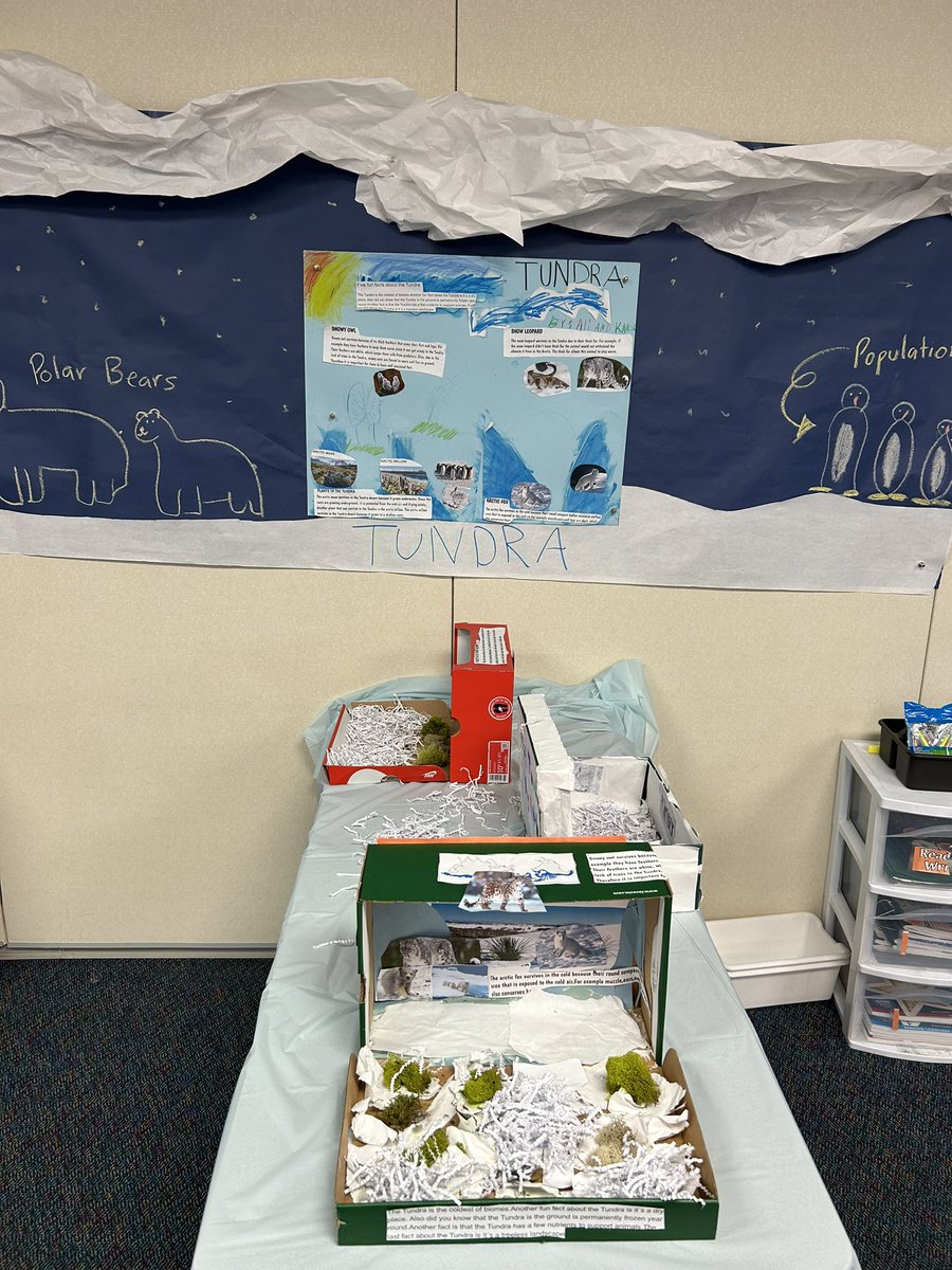 MsOliva2's tweet image. Ecosystem gallery walk was a success! My students couldn’t stop talking about how much they loved this learning experience. They were proud of their hard work! The WHOLE third grade did AMAZING!!!! @AngelaWarner27 @MRobinsonElem #LIONSROARWITHPRIDE #ecosystems #makinglearningfun