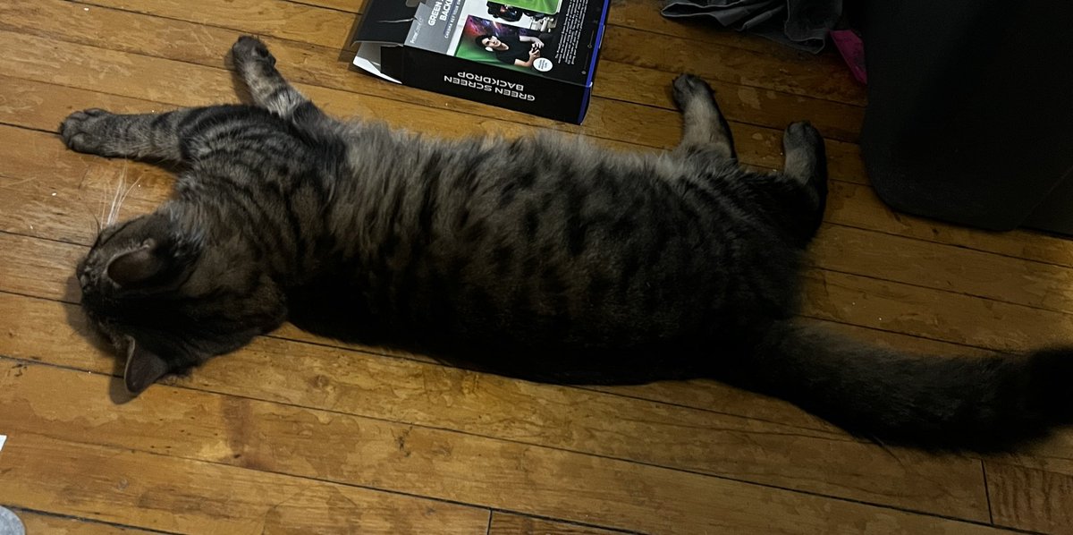 Can’t decide weather to stay in or out of the room.