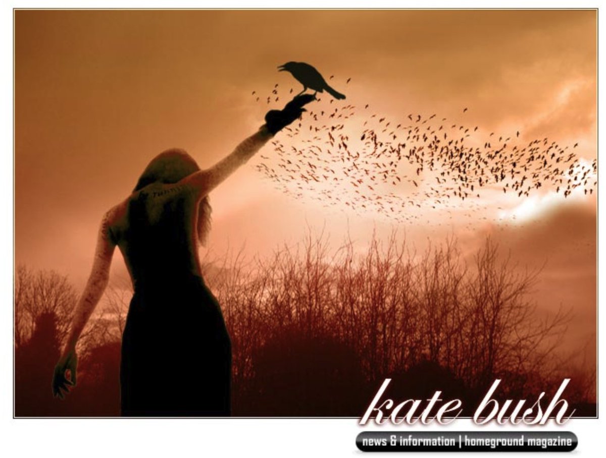 katebushnews photo