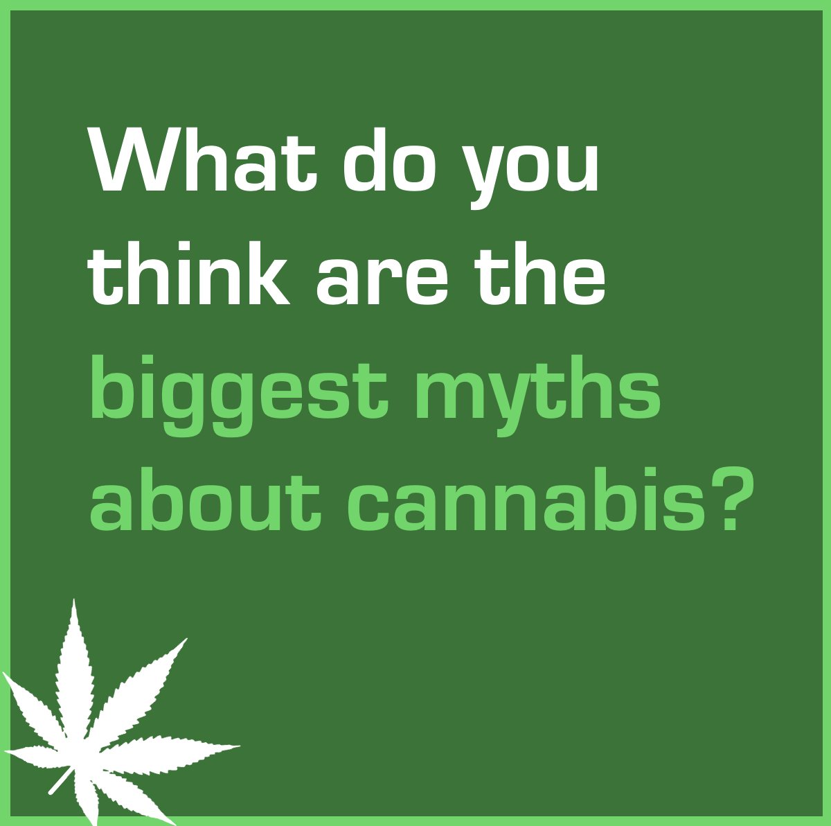 cannabishub's tweet photo. https://t.co/kOg9WAOBIW