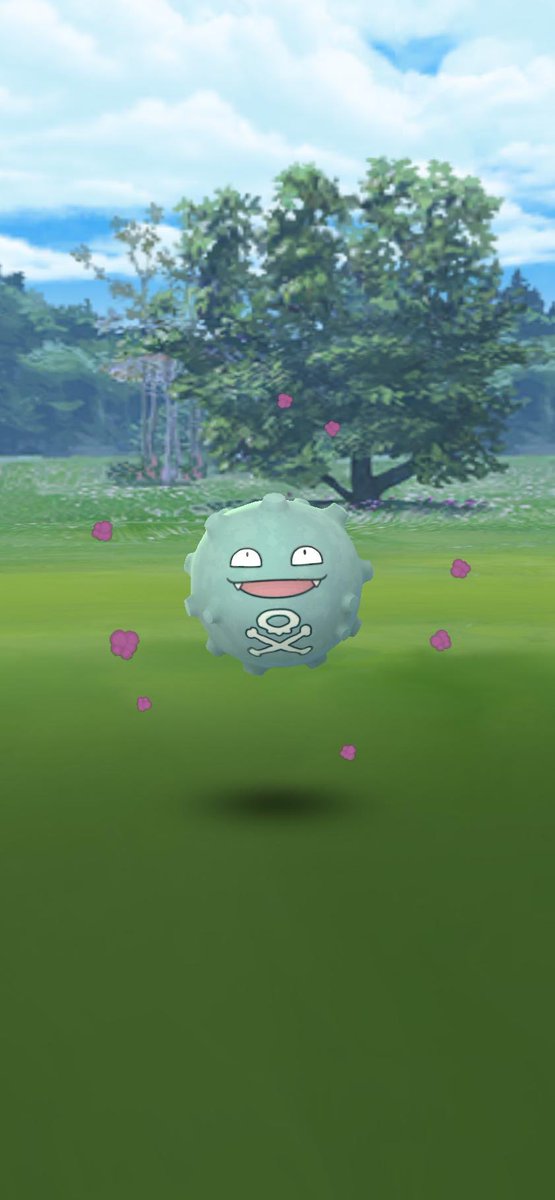 rennisaint1's tweet image. just caught this dood on my lunch break #ShinyPokemon #koffing
