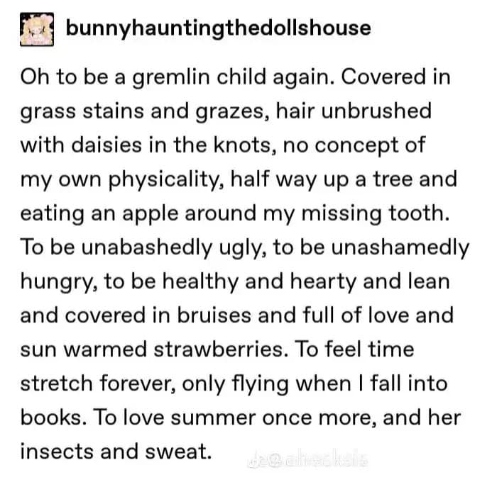 WholesomeMeme's tweet image. 