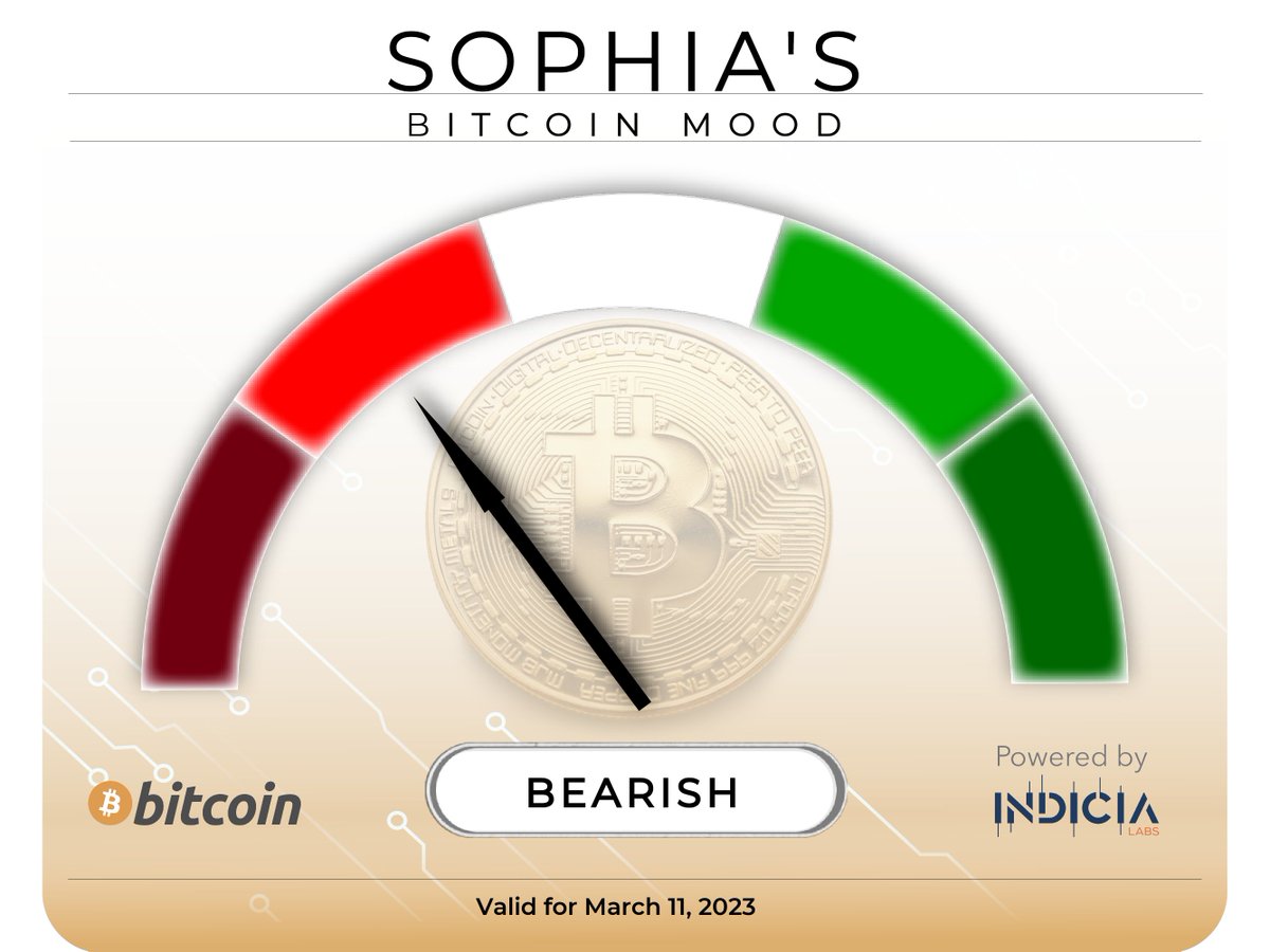 Sophia's Bitcoin Mood tweet media