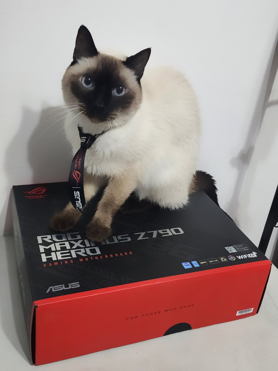 ¿Adivinen quién se va de upgrade este finde?😼
Y no con cualquier placa, es LA PLACA. 🙀

Es nada más y nada menos que la poderosa ROG MAXIMUS Z790 HERO 🤯🤯🤯

¿Qué otros componentes le pondrían a este upgrade?👀👀👀

#catlover @lucasyhashi #gamer #gaming #gamingcat #gatogamer