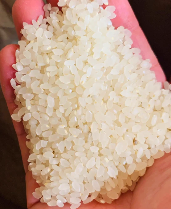 【ご案内】お手伝い先の農家さんにて、お米(ヒノヒカリ)の販売をお手伝いしております今回、10kg3,300円(送料込)にてご案内しておりますので、消費にご協力いただけると大変嬉しいです※今回、オマケの同封はありません。⠀【詳細・お申込】 