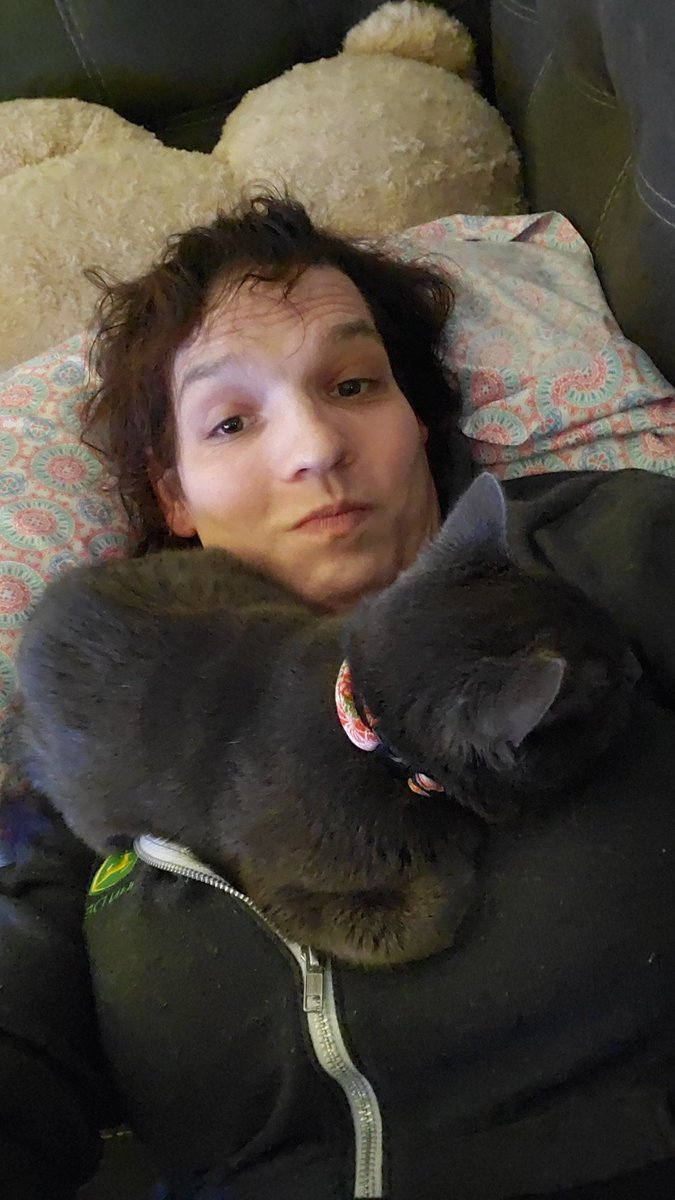Aask42's tweet photo. Cat sitting for the month, now the cat is sitting on me. https://t.co/Z74rP6TZwf