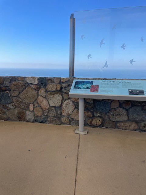 Photographs from our trip at Cabrillo national monument. Learning about the process of the research done here. This was a wonderful experience and allowed us some insight into what the projects may consist of. Look out for our first project. We are Team Starfish! 🐚🪸🐙
