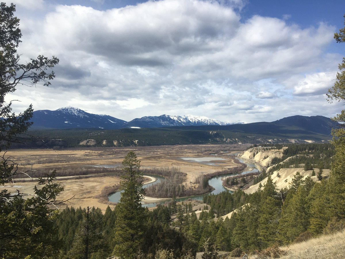 Catriona Leven tweet media