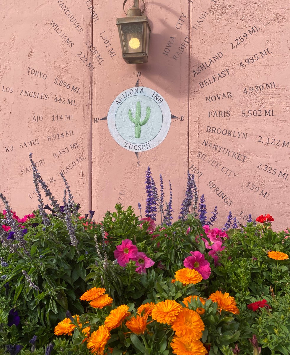 Wishing you were here🌞🌵 Have a great weekend wherever you may be.