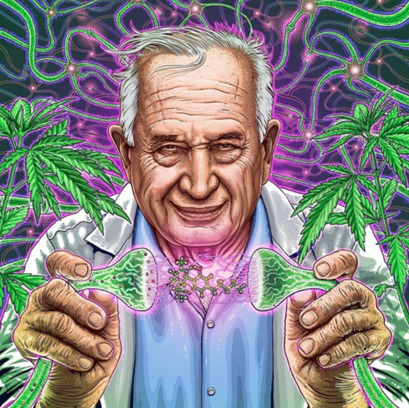 Raphael Mechoulam, the scientist who discovered THC passed away on March 9th. Rest in peace 🙏

#RaphaelMechoulam #THC #Science #Medicine