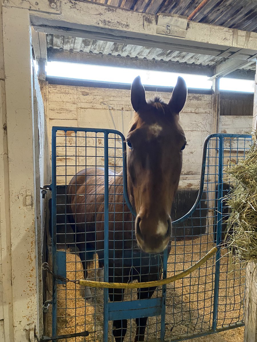 Jordan Froelich tweet media