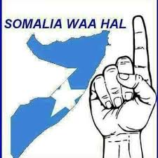 Lionbbc's tweet image. 