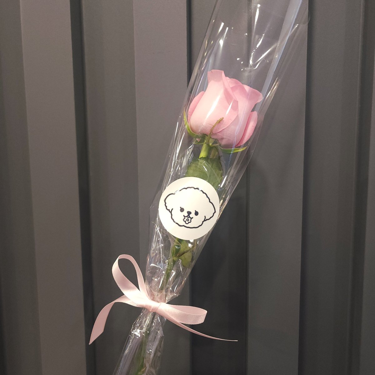 txt_1313's tweet photo. 용산 주리플라워 🧸🌸
#봄을물어온강아지
#Spring_puppy
📢 여기 특전 미쳤어요ㅜㅠㅠ!!
준비해 주셔서 감사합니다🤍 https://t.co/DfduxUGpvE