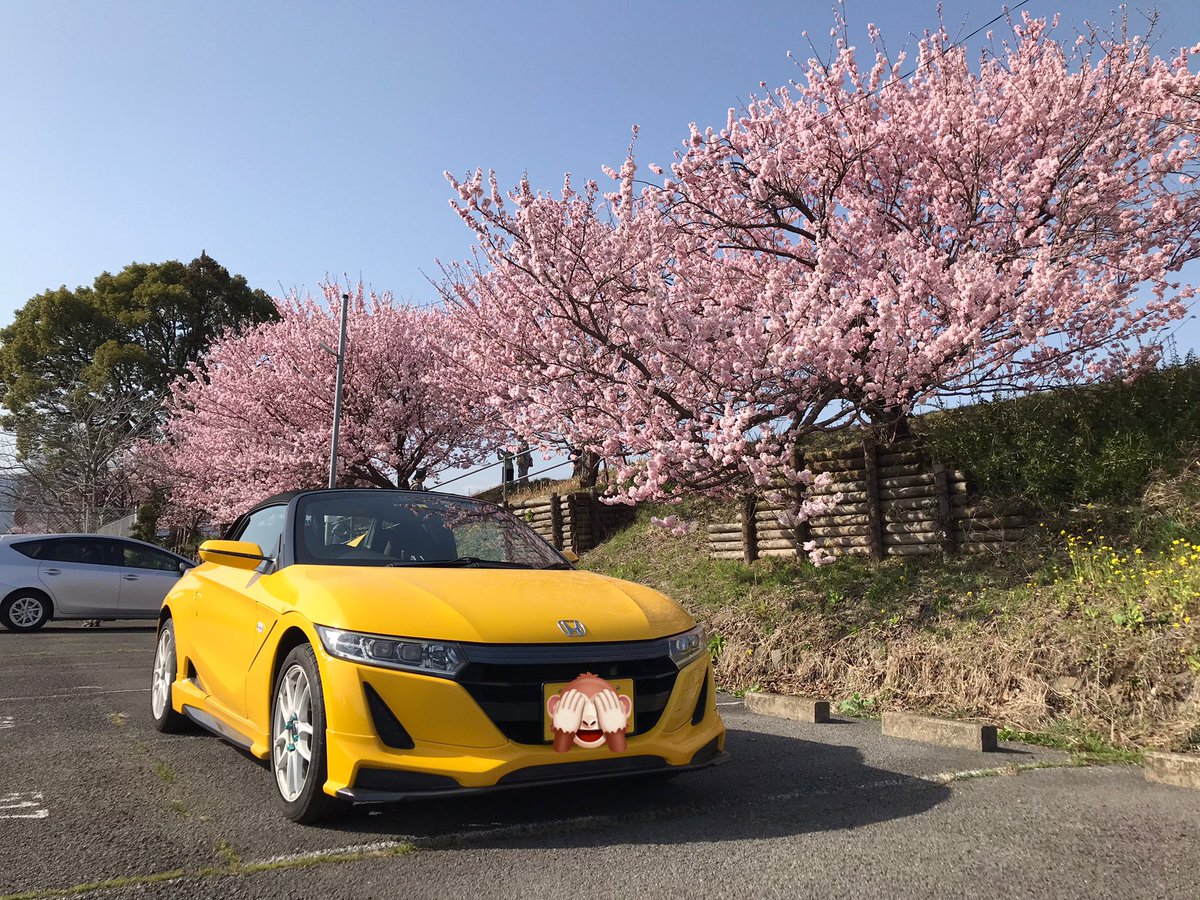 cb400sb0083's tweet photo. もう桜が咲いてますよ
#S660 https://t.co/PfeglTmDfh