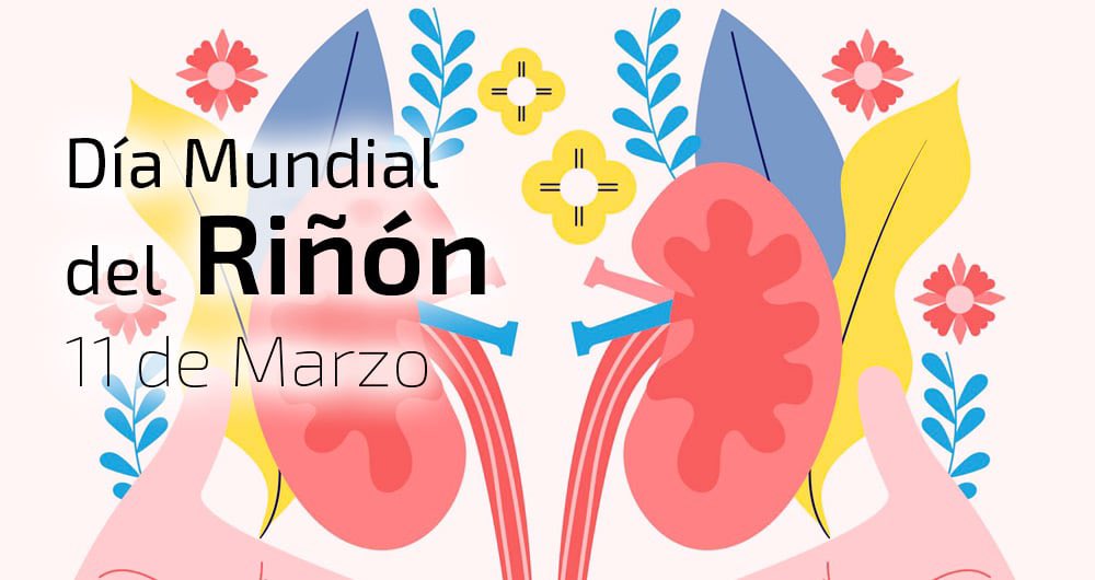 ayudarinoton's tweet photo. ¡Gracias a la vida!
🙌🏿💚🌱
#Riñotón #ComparteyAyuda https://t.co/UYtMQyurbE