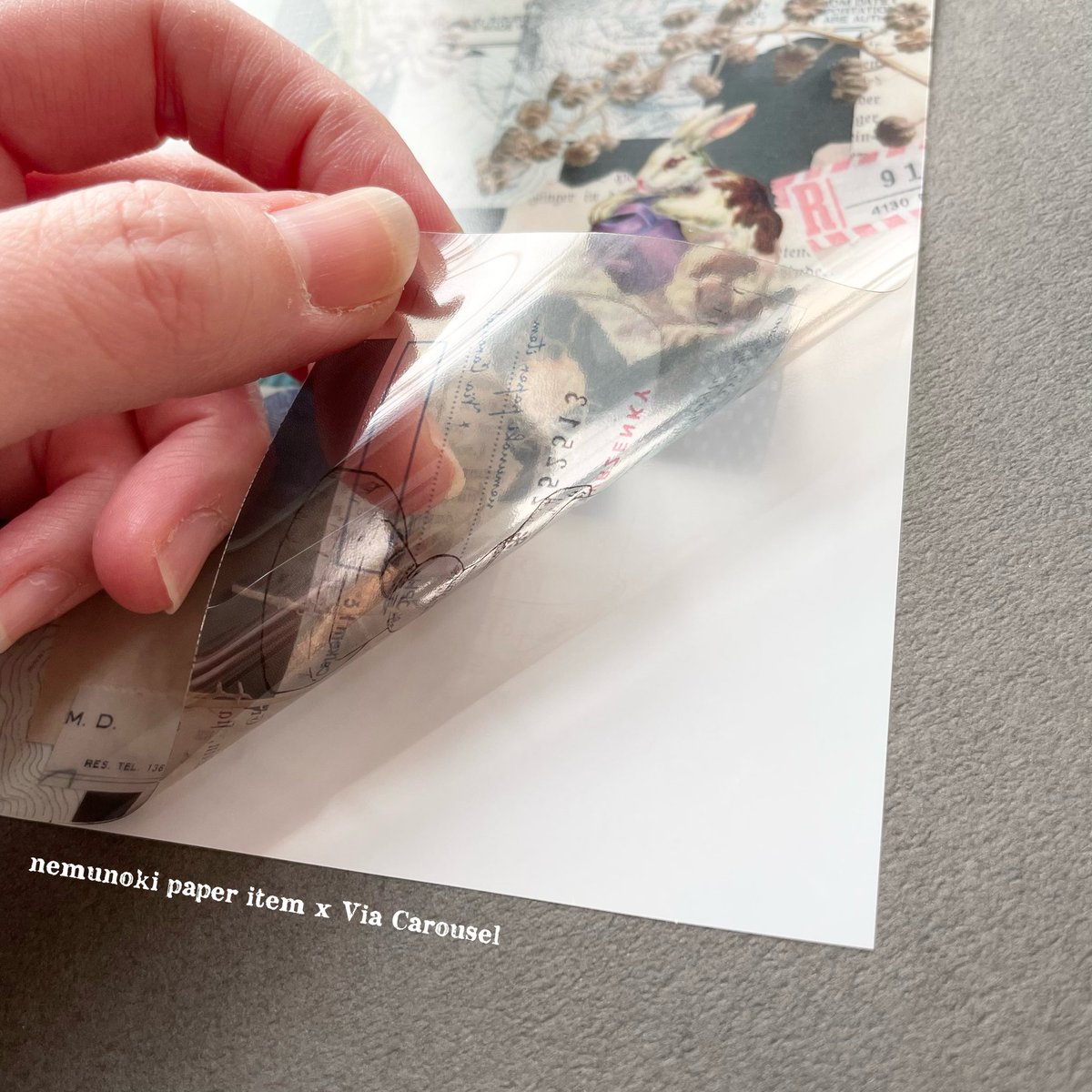 フリーカットシールは上質紙と透明PETの2種がセットになっています。
透け感を活かしたコラージュに✨

こちらは現在開催中の
#紙物標本箱 後夜祭(オンライン)
#たかさき文具の博覧会mini

3月後半開催の
#SHINJUKU文具の博覧会
#森でたのしむアートクラフト
でお買い求めいただけます✨ 