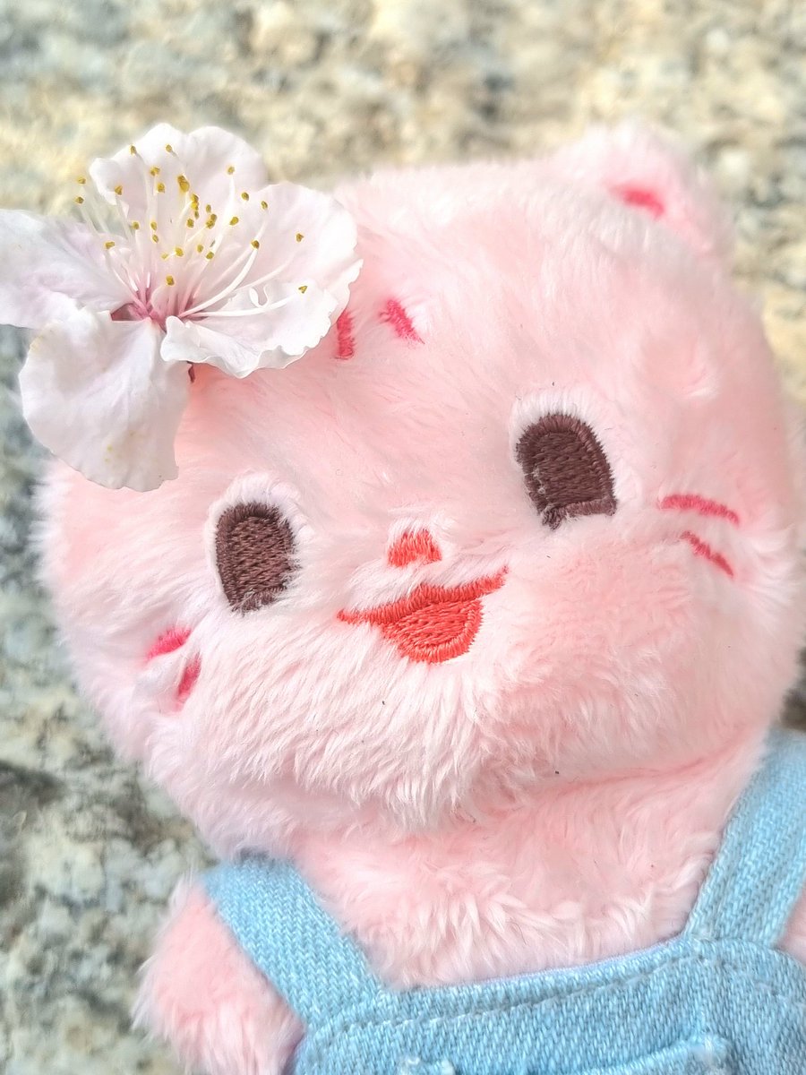 숩달이랑 벚꽃 나들이~