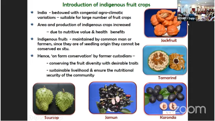 cabcmssrf's tweet image. 'Diversifying #food basket from #community perspective is important' Dr. PE Rajasekharan @ICAR_IIHR highlighted the importance of diversity in #underutilized fruits &amp;amp; vegetables #SeedFest2023 @mssrf #IYM2023 @IYM2023 #YearofMillet @g20org @AgriGoI @icarindia @INbpgr @MilletsNews