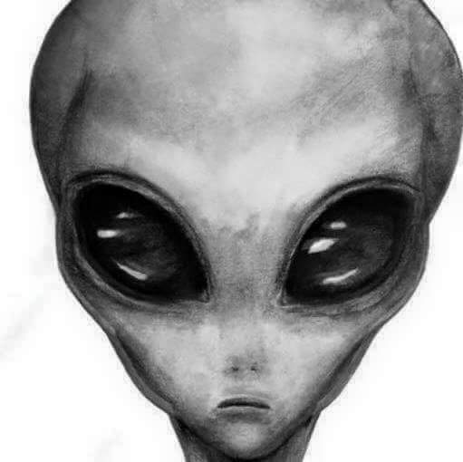 WigglyAir's tweet image. ufotwitter