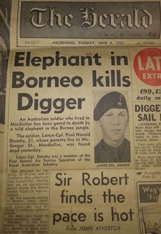 scotty_thomo's tweet image. Lance Corporal Paul H Denehey, Signaller with 1 SQN #SASR🇦🇺 had, perhaps, the most grizzly &amp;amp; with that sad ends an #Australian🇦🇺 soldier has ever met
Deployed to #Malaya &amp;amp; conducting a 4 man reconnaissance patrol on the Sabah border, he was fatally gored by a wild Elephant
1/
