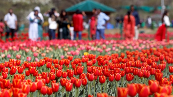 RUBARUBARAMULLA's tweet photo. Are u ready for this spring to enjoy the natural beauty of #Kashmir to make this paradise a land of peace by our efforts.

#BeautifulKashmir #Tourist_Attractions @JandKTourism https://t.co/wOp8lN2lVd